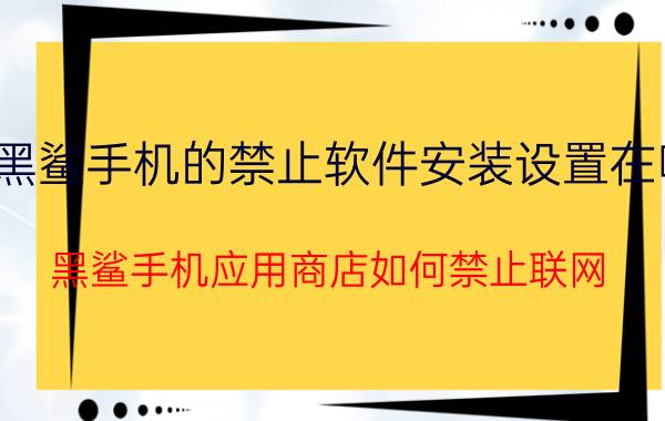 黑鲨手机的禁止软件安装设置在哪 黑鲨手机应用商店如何禁止联网？